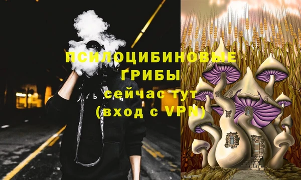 индика Абдулино