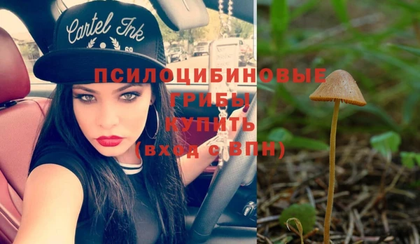 индика Абдулино